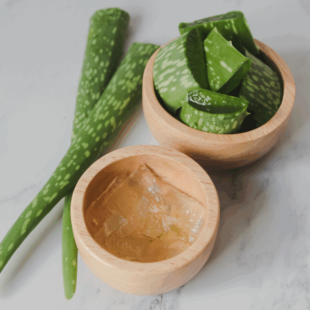 aloe vera and gel