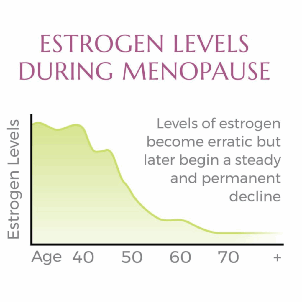 Estrogen levels during menopause